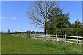 Pulham Market, Gresham Farm: Field used for grazing