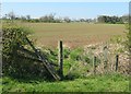 Broken stile on footpath