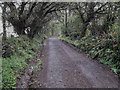 Track to Oldbarn Cross