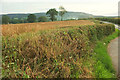 SO6488 : Field by the B4364 by Derek Harper