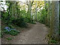 Three Cornered Copse