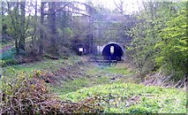 SD5185 : Disused Canal Tunnel, Hincaster, Cumbria by Alex Passmore