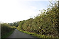 Upland Lane east of Hawkley