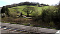 Hillside viewed from Pillmawr Road, Newport