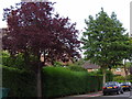 TQ2589 : Hill Top, Hampstead Garden Suburb by David Howard
