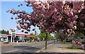 A47 Hinckley Road at Western Park, Leicester