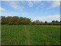 Footpath heads into Radway from Edge Hill