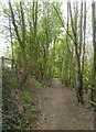 Footpath off Brogdale Road, Faversham