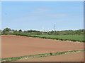 Fields near Doverdale Manor Farm (2)