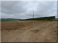 Chalky soil and hedgerow, Low Cowlam