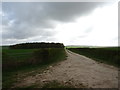 Track to Elmswell Wold Farm