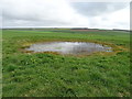 SE9961 : Small pond, Garton Wold by JThomas