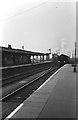 TL5479 : Ely Station, south end, 1961 by Alan Murray-Rust