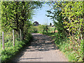 Path towards Elton Sailing Club