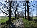 Road between Lairs and Blackwood House