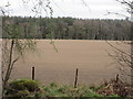 Field near Careston