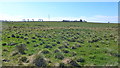 Hareshawhill farm from the Calder Water Wind Farm