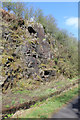 Bedrock by the Lochwinnoch Loop Line cycle path