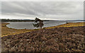 NH6336 : Loch Ashie by valenta