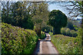 Poughill : Country Lane