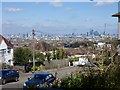 View from the Horniman Ridge