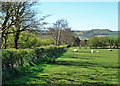 Fields near the old road