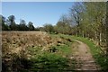 Path beside rough grassland