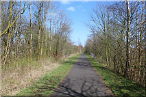 NS3458 : Lochwinnoch Loop Line cycle path by Thomas Nugent