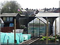 Allotments on Earsdon Road near Shiremoor