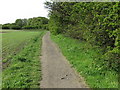 Public Footpath, South Wellfield