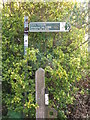 Public Footpath Sign, South Wellfield