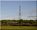 Pylon, Berkley Marsh