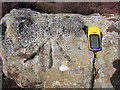 SE1573 : Close Up of Benchmark at Hambleton Crags by Matthew Hatton
