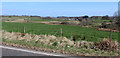 Farmland near Moniabrock