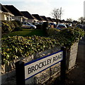 Northbourne: Brockley Road