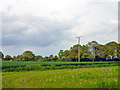 Fields near Piper