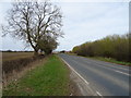 York Road into Easingwold