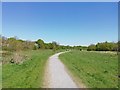 Mab Lane Community Woodland