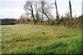 Farmland north of Buckland Filleigh