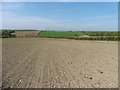 Field on Great Moor