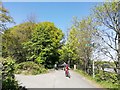 Cycleway Junction Alder Lane