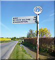 SU6292 : Signpost by the Ewelme Brook by Des Blenkinsopp