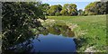 River Poulter near Cuckney Church