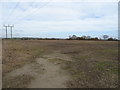 Field, Brown Moor