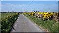 The Greystone Road near Ballywalter