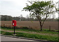 Field beside Auchinleck Close, Driffield