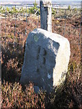 NZ0198 : Old Boundary Marker by Mike Rayner