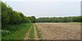 Footpath near Norton Village