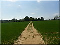 Well marked footpath on The Serpernt