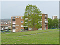 Low-rise housing on Theaker Lane